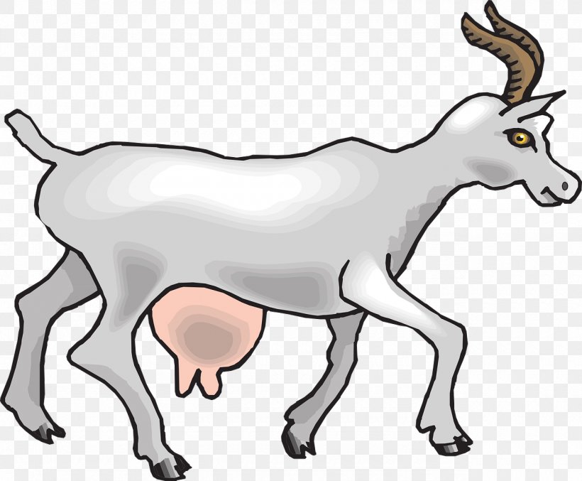 Boer Goat Cattle Animal Clip Art, PNG, 1280x1057px, Boer Goat, Animal, Animal Figure, Antelope, Artwork Download Free