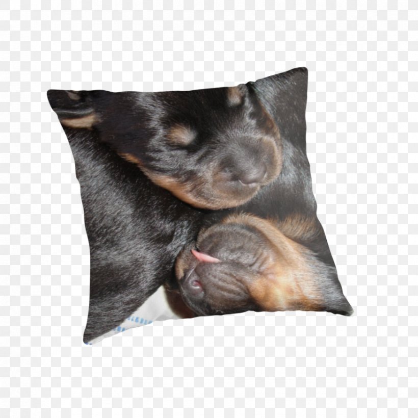 Puppy Manchester Terrier Rottweiler Dog Breed Throw Pillows, PNG, 875x875px, Puppy, Breed, Carnivoran, Cushion, Dog Download Free