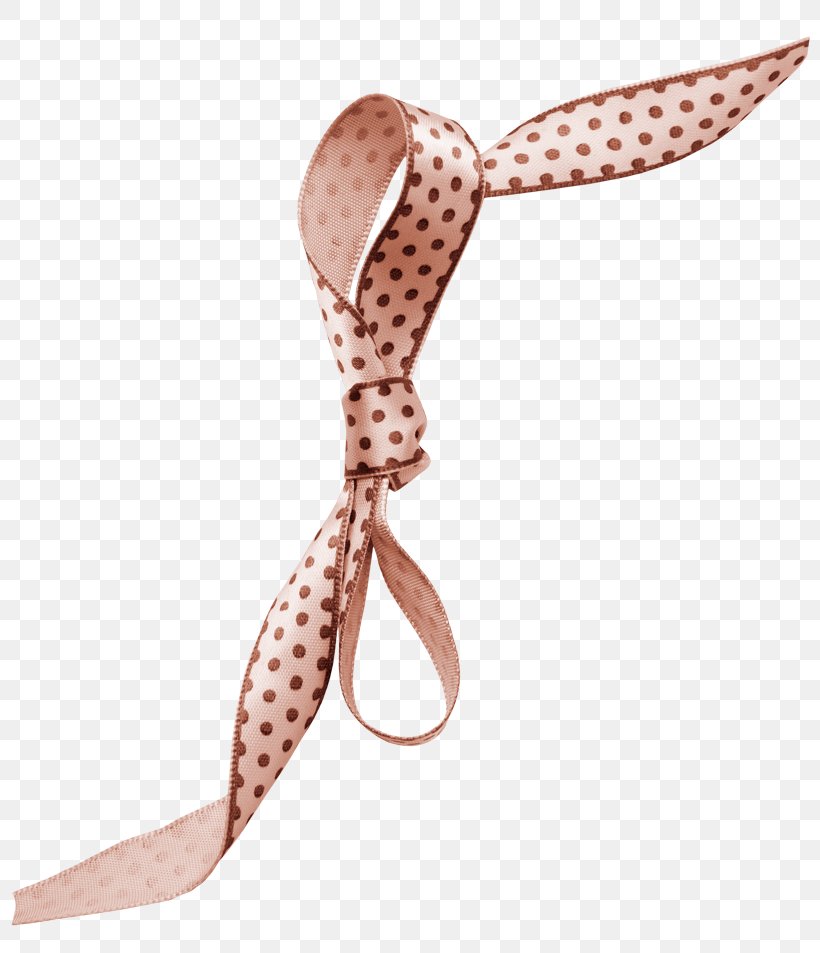 Shoelace Knot Bow Tie Google Images, PNG, 800x953px, Shoelace Knot, Albom, Bow Tie, Fashion, Fashion Accessory Download Free