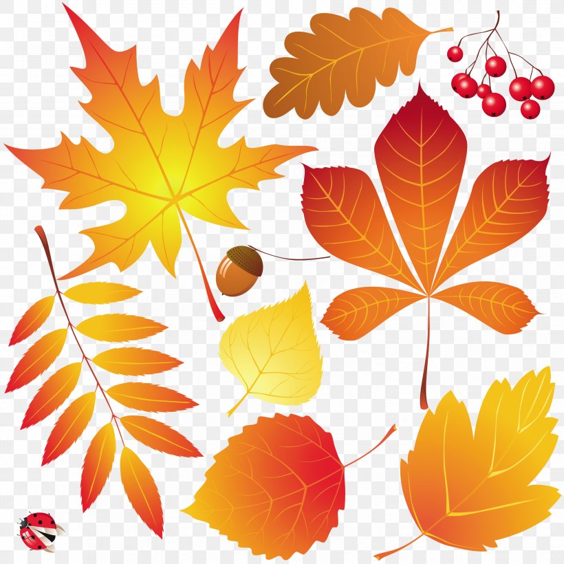 Autumn Leaves Drawing, PNG, 3301x3301px, Autumn Leaves, Autumn, Autumn Leaf Color, Branch, Drawing Download Free