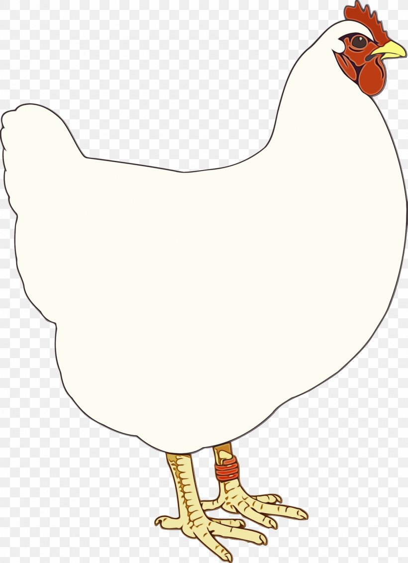 Bird Chicken Rooster Beak Poultry, PNG, 1738x2400px, Watercolor, Beak, Bird, Chicken, Comb Download Free