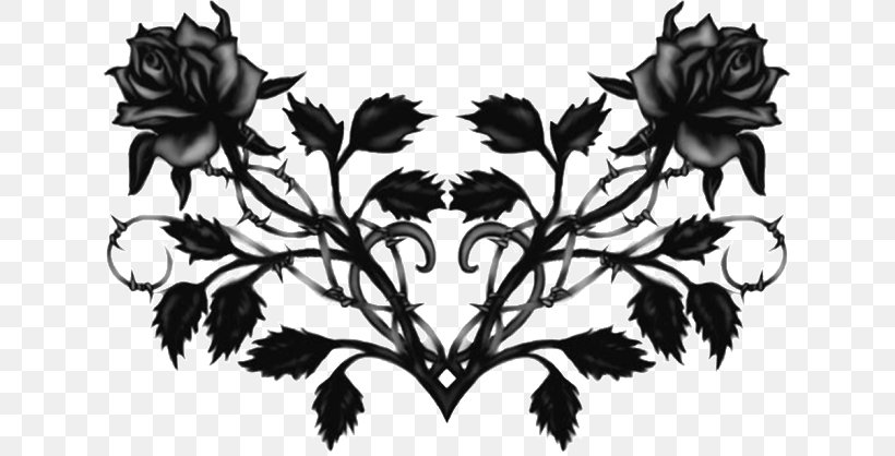 Black Rose Flower Drawing, PNG, 639x418px, Black Rose, Art, Black And White, Branch, Color Download Free