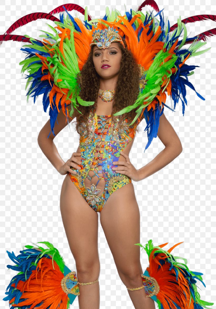 Carnival Costume Samba Underwire Bra, PNG, 1170x1672px, Watercolor, Cartoon, Flower, Frame, Heart Download Free