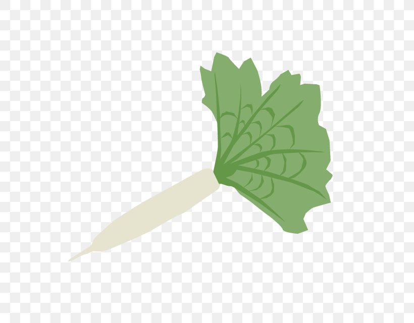 Chinese Cabbage Greens Chinese Cuisine Leaf, PNG, 640x640px, Chinese Cabbage, Cabbage, Chinese Cuisine, Greens, Hashtag Download Free