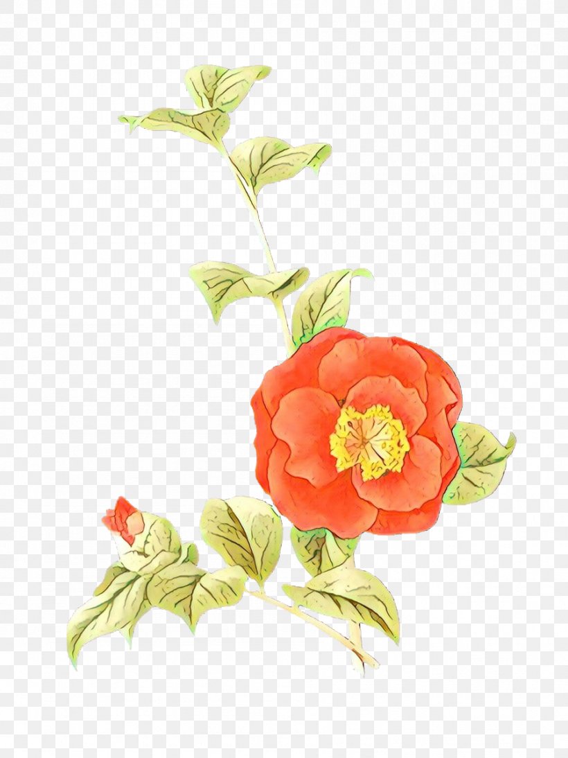 Watercolor Flower Background, PNG, 899x1200px, Garden Roses, Artificial Flower, Cabbage Rose, Camellia, Cut Flowers Download Free