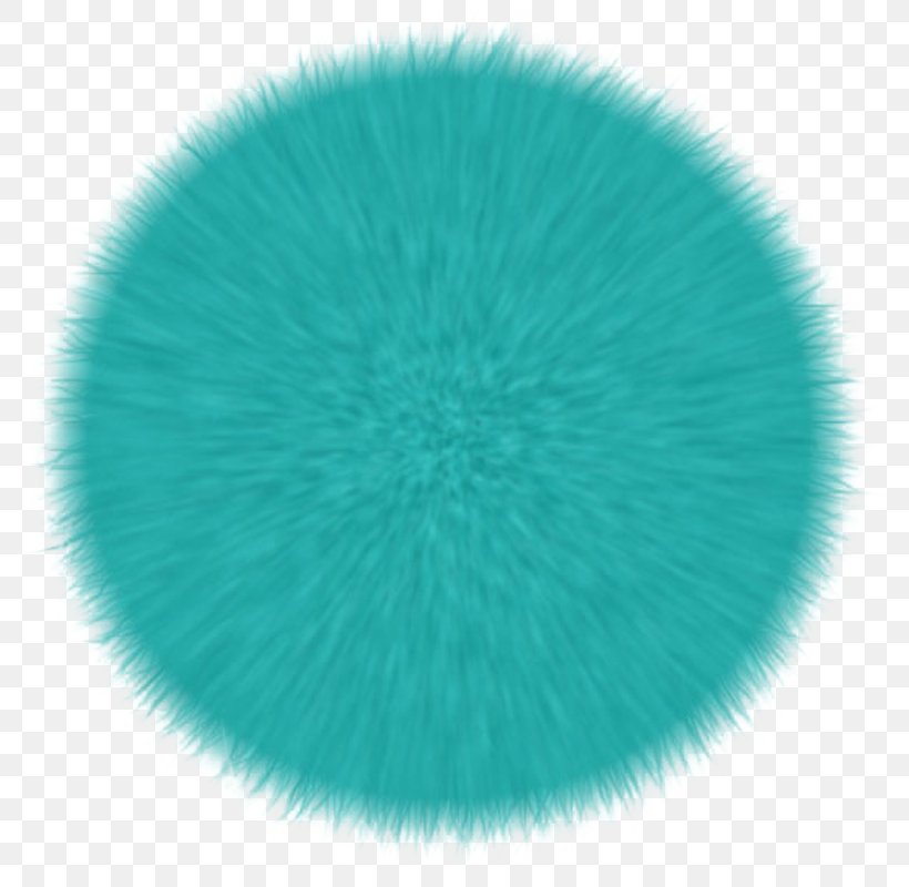 Circle Light Icon, PNG, 800x800px, Light, Aqua, Blue, Fur, Grass Download Free