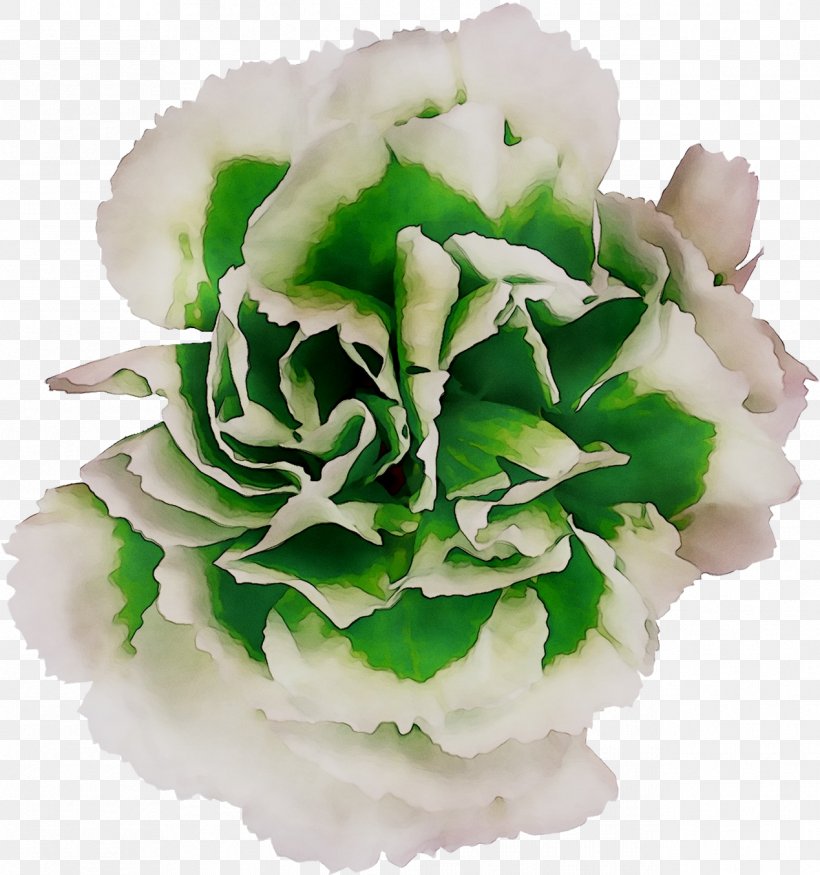 Cut Flowers Rose Family M Invest D.o.o., PNG, 1269x1355px, Cut Flowers, Artificial Flower, Carnation, Chinese Peony, Cornales Download Free