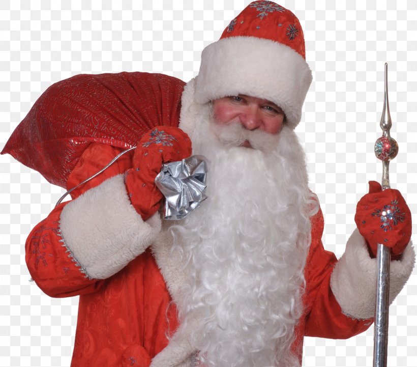 Ded Moroz Snegurochka New Year Tree Grandfather, PNG, 1227x1080px, Ded Moroz, Birthday, Child, Christmas, Christmas Ornament Download Free