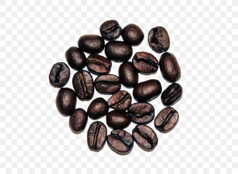 Jamaican Blue Mountain Coffee Cocoa Bean Commodity Seed, PNG, 600x600px, Jamaican Blue Mountain Coffee, Bean, Cacao Tree, Chocolate Coated Peanut, Cocoa Bean Download Free