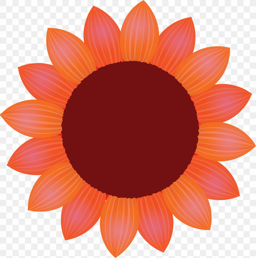Sunflower Petal Flower, PNG, 2977x3000px, Sunflower, Daisy Family, Flower, Gazania, Gerbera Download Free