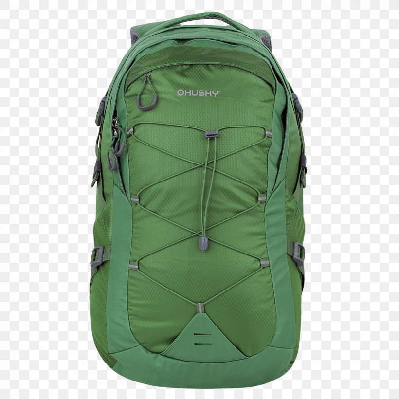 Backpack Green Travel Tourism Color, PNG, 1200x1200px, Backpack, Bag, Black, Blue, Color Download Free
