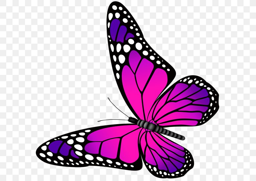 Butterfly Purple Pink Clip Art, PNG, 600x580px, Butterfly, Artwork, Brush Footed Butterfly, Color, Flower Download Free