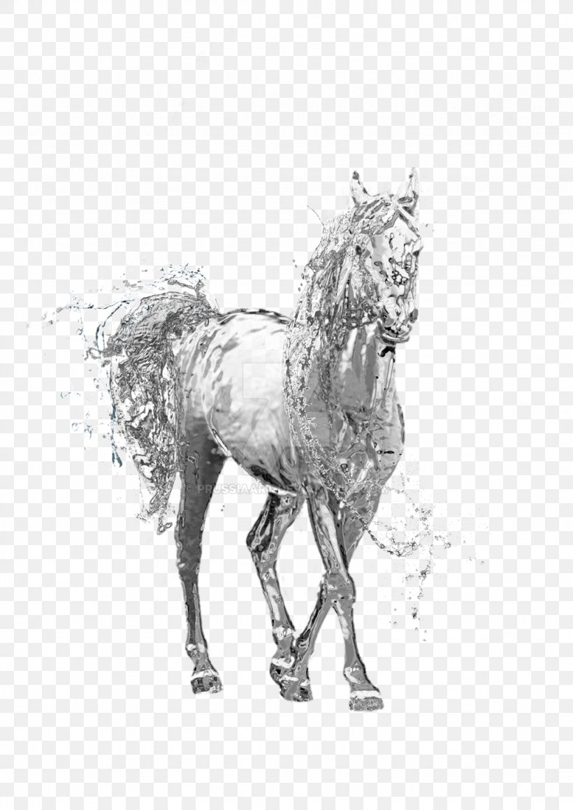 Horse Stallion Clip Art, PNG, 1024x1448px, Horse, Art, Black And White, Bridle, Canter And Gallop Download Free