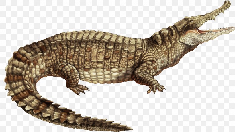 Nile Crocodile Alligator Spectacled Caiman American Crocodile, PNG, 1069x600px, Nile Crocodile, Alligator, American Crocodile, Animal Figure, Black Caiman Download Free