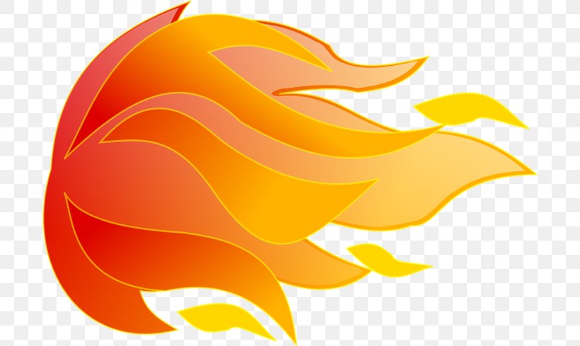 Cartoon Explosion, PNG, 700x489px, Flame, Combustion, Explosion, Fire, Logo Download Free