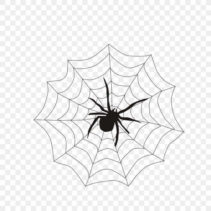 Spider Web, PNG, 3464x3464px, Spider Web, Arachnid, Blackandwhite, Leaf, Plant Download Free