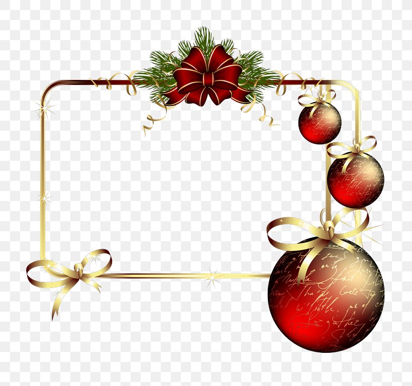 Christmas Ornament Picture Frames Photography, PNG, 721x768px, Christmas Ornament, Branch, Christmas, Christmas Card, Christmas Decoration Download Free