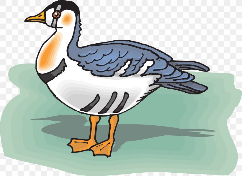 Duck Bird Goose, PNG, 1280x935px, Duck, Beak, Bird, Bird Of Prey, Ducks Geese And Swans Download Free