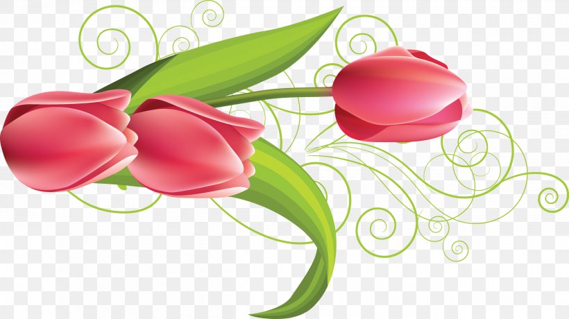 Flower Tulip, PNG, 2500x1403px, Flower, Cdr, Computer, Drawing, Floral Design Download Free