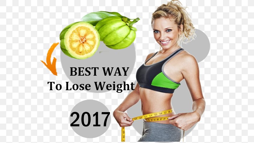Garcinia Cambogia Weight Loss Dieting, PNG, 564x463px, Garcinia Cambogia, Abdomen, Active Undergarment, Arm, Brand Download Free