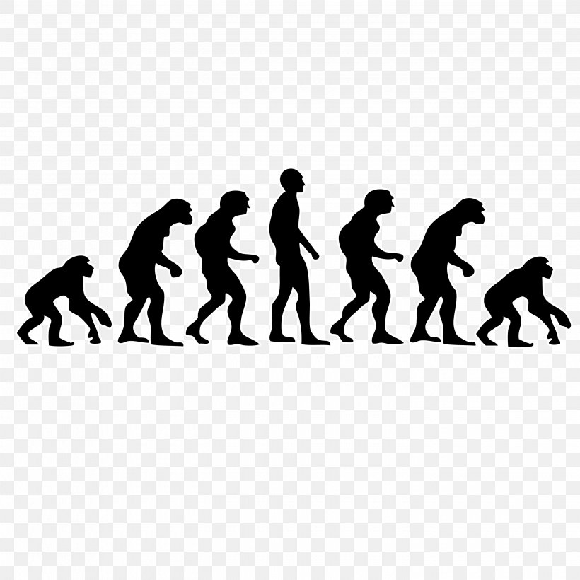 Neanderthal Human Evolution Primate, PNG, 2900x2900px, Neanderthal, Biology, Black And White, Charles Darwin, Darwinism Download Free