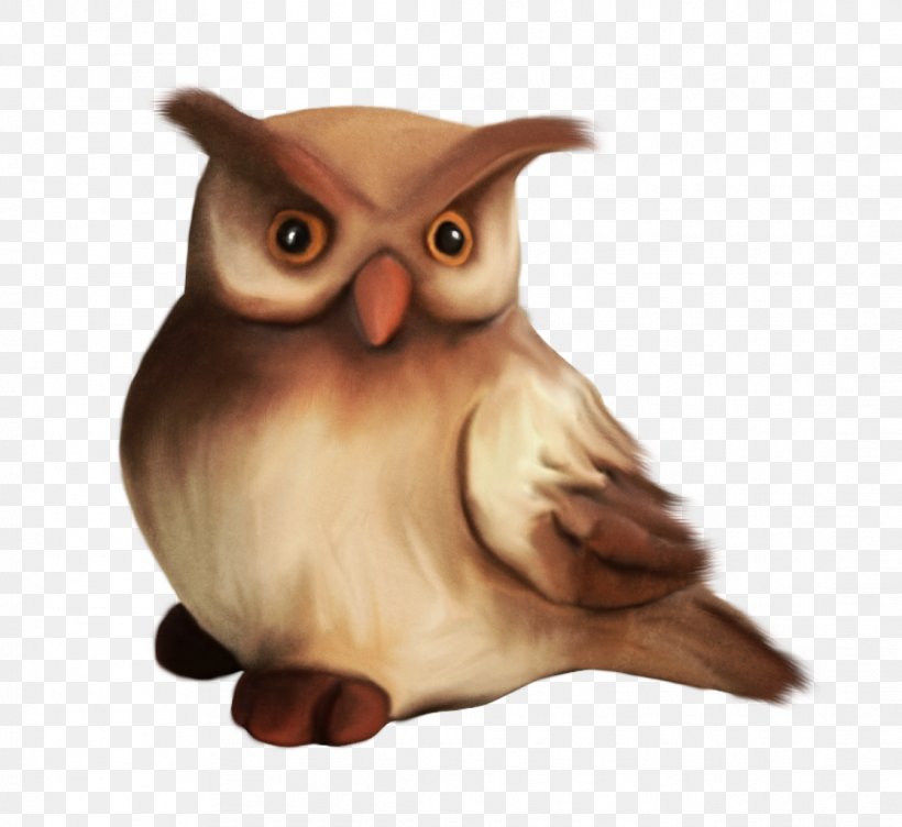 Little Owl Drawing, PNG, 1116x1024px, Owl, Animation, Beak, Bird, Bird Of Prey Download Free