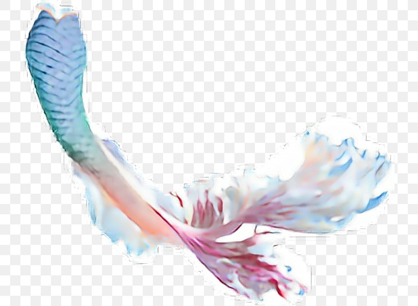 Clip Art Mermaid Desktop Wallpaper Transparency, PNG, 728x600px, Watercolor, Cartoon, Flower, Frame, Heart Download Free