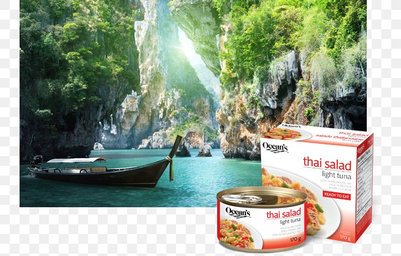 Tuna Salad Thai Cuisine Vinaigrette Fusion Cuisine, PNG, 740x525px, Tuna Salad, Asparagus, Atlantic Bluefin Tuna, Boat, Capsicum Annuum Download Free