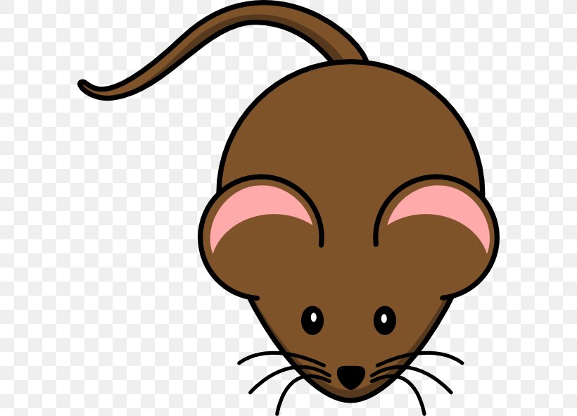 Computer Mouse Rodent Clip Art, PNG, 600x591px, Mouse, Artwork, Carnivoran, Cat, Cat Like Mammal Download Free