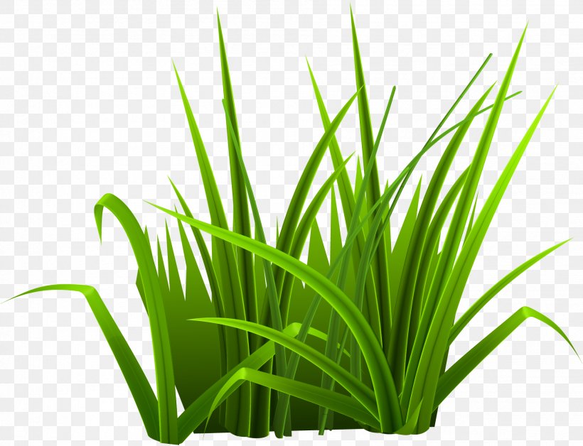Green Download, PNG, 1901x1456px, Green, Color, Commodity, Designer, Grass Download Free