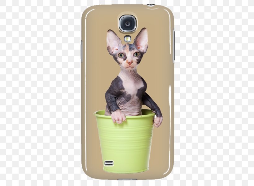 Whiskers Kitten Sphynx Cat Sock Necklace, PNG, 600x600px, Whiskers, Ankle, Carnivoran, Cat, Cat Like Mammal Download Free