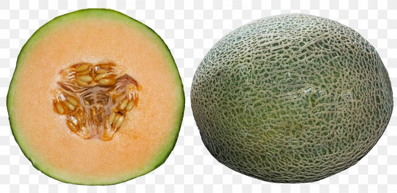 Cantaloupe Honeydew Melon, PNG, 1400x680px, Cantaloupe, Cucumber, Cucumber Gourd And Melon Family, Food, Fruit Download Free