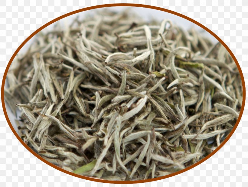 Golden Monkey Tea White Tea Baihao Yinzhen Nilgiri Tea, PNG, 994x749px, Golden Monkey Tea, Anchovy, Assam Tea, Bai Mudan, Baihao Yinzhen Download Free