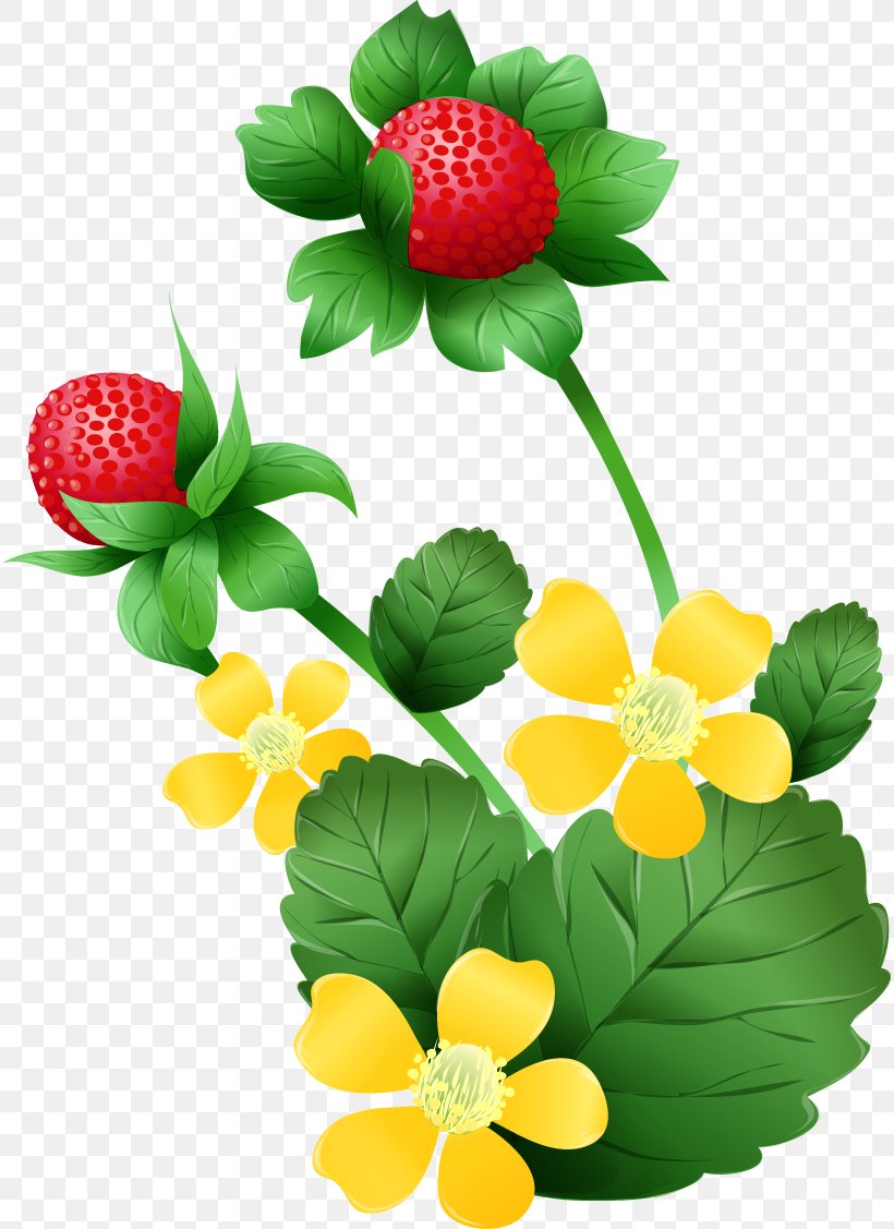 Mock Strawberry Clip Art, PNG, 814x1127px, Strawberry, Aedmaasikas, Floral Design, Floristry, Flower Download Free