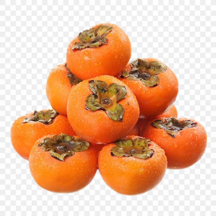 Persimmon Food Download, PNG, 1181x1181px, Persimmon, Clementine, Diospyros, Ebony Trees And Persimmons, Food Download Free