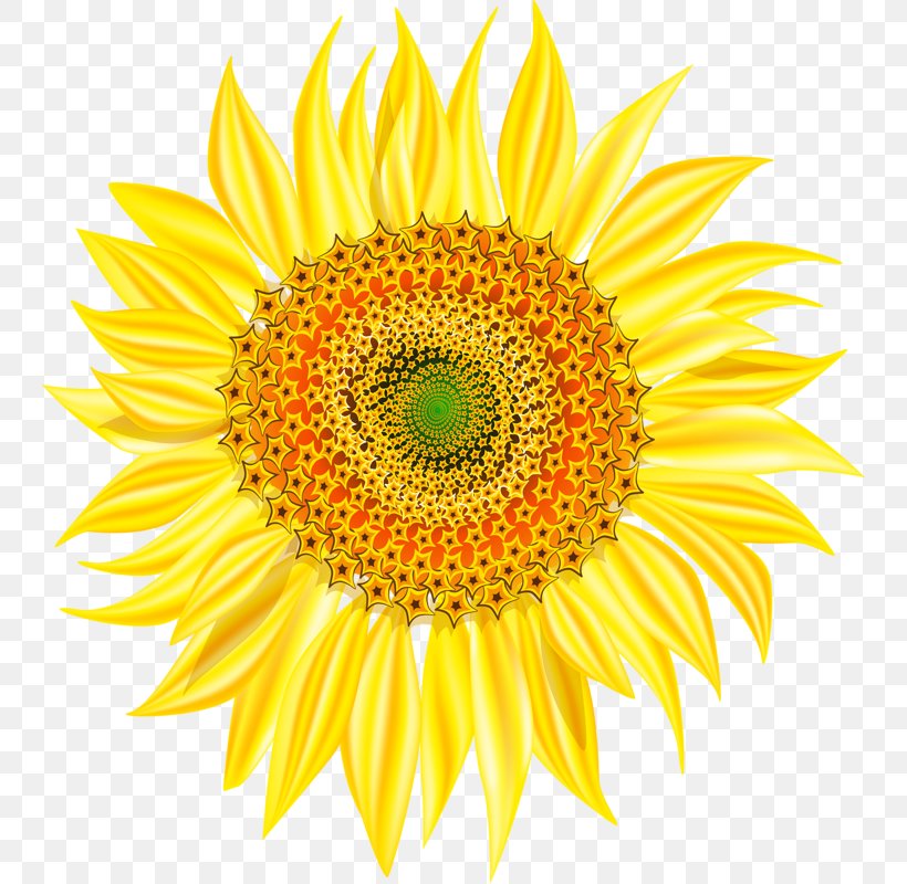 Yellow Sunflowers, PNG, 744x800px, Common Sunflower, Art, Asterales, Cut Flowers, Daisy Family Download Free