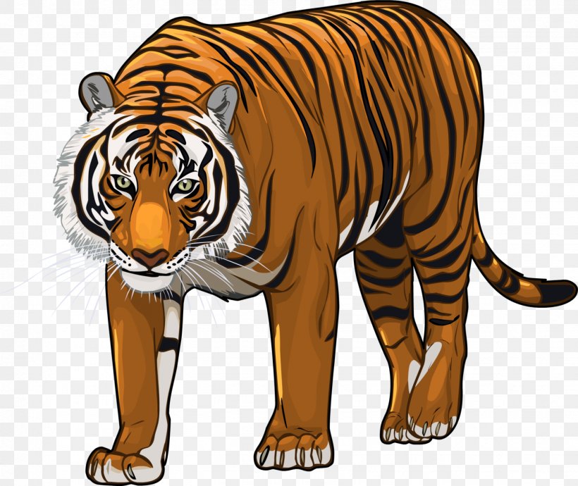 Bengal Tiger Siberian Tiger Felidae Cat Lion, PNG, 1426x1200px, Bengal Tiger, Animal, Animal Figure, Animation, Big Cats Download Free