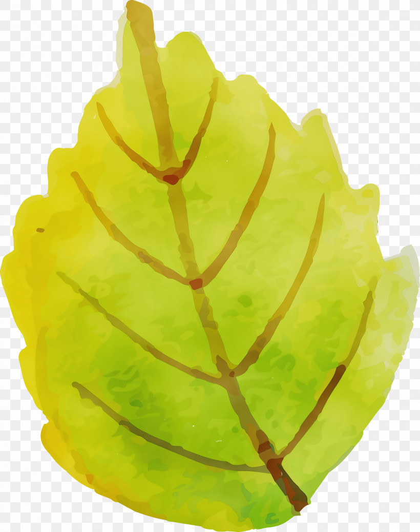 Carambola Leaf Yellow Plant Structure Plants, PNG, 2368x3000px, Autumn Leaf, Biology, Carambola, Colorful Leaf, Leaf Download Free