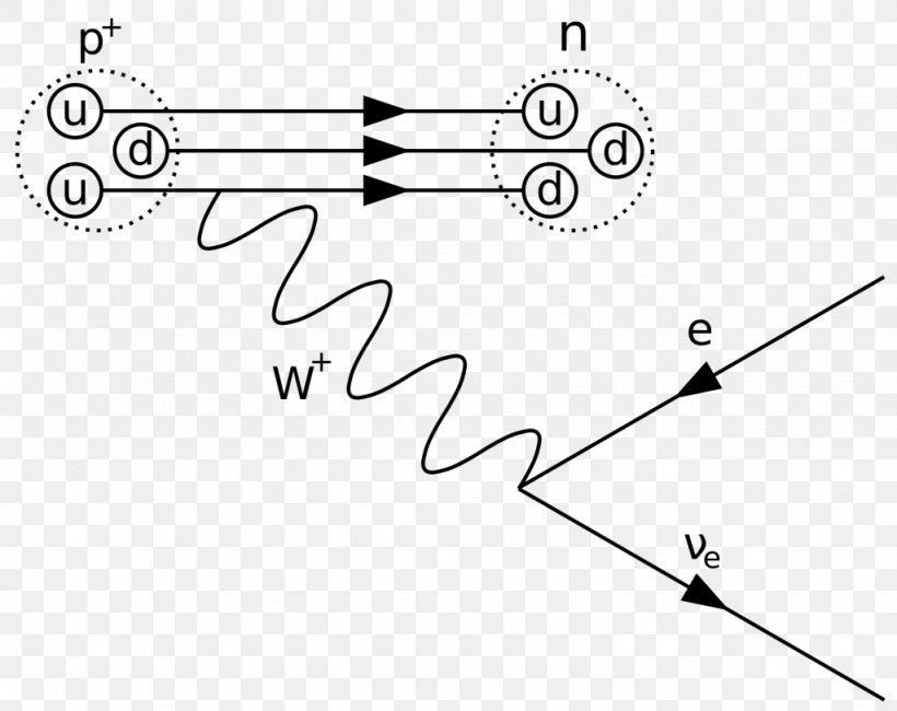 Feynman Diagram Quantum Mechanics Physics Neutrino, PNG, 1024x812px,  Watercolor, Cartoon, Flower, Frame, Heart Download Free
