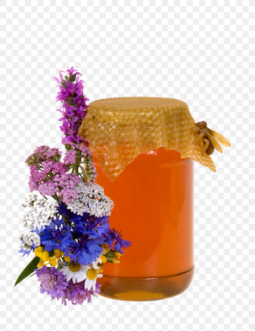 Honey Bee Syrup Flower Photograph, PNG, 832x1080px, Honey, Alamy, Bee, Cut Flowers, Flower Download Free