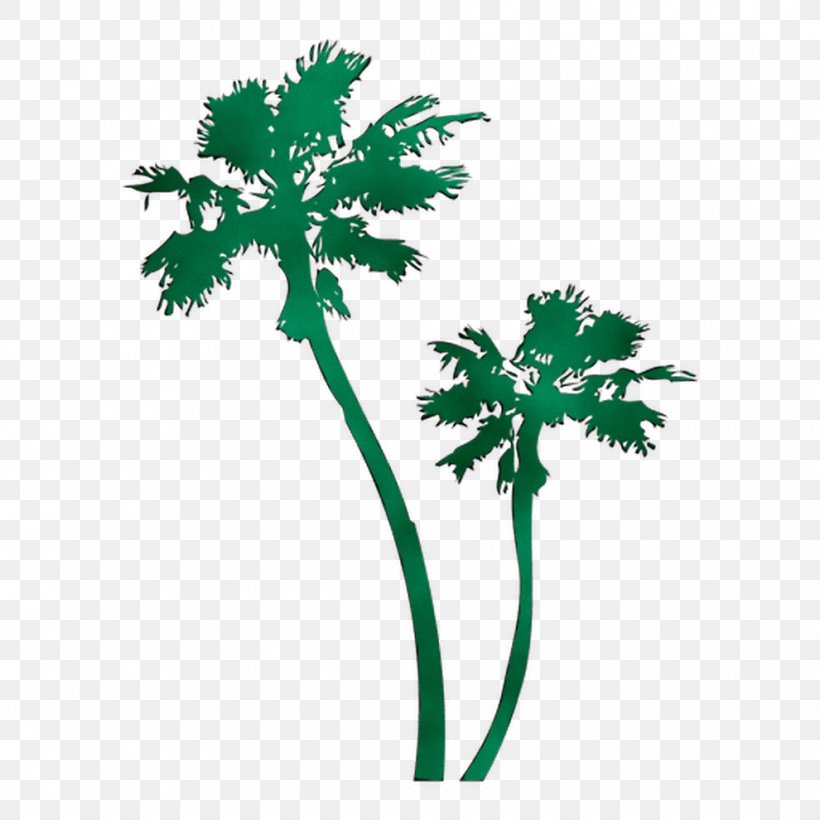 Palm Trees Leaf Greens Plant Stem Flower, PNG, 990x990px, Palm Trees, Anthriscus, Chervil, Flower, Flowering Plant Download Free