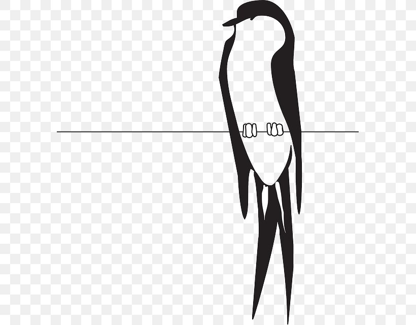 Bird Clip Art, PNG, 597x640px, Bird, Arm, Beak, Bird On A Wire, Bird On The Wire Download Free