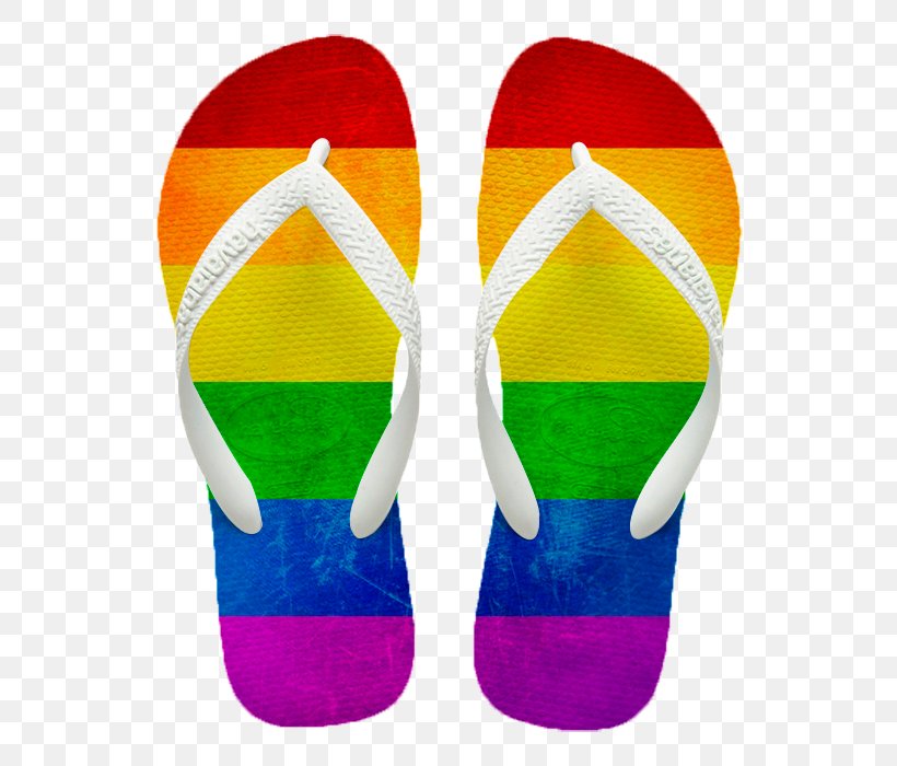 Flip-flops Gay Pride Rainbow Flag Shoe, PNG, 700x700px, Flipflops, Bisexual Pride Flag, Clothing, Footwear, Gay Pride Download Free