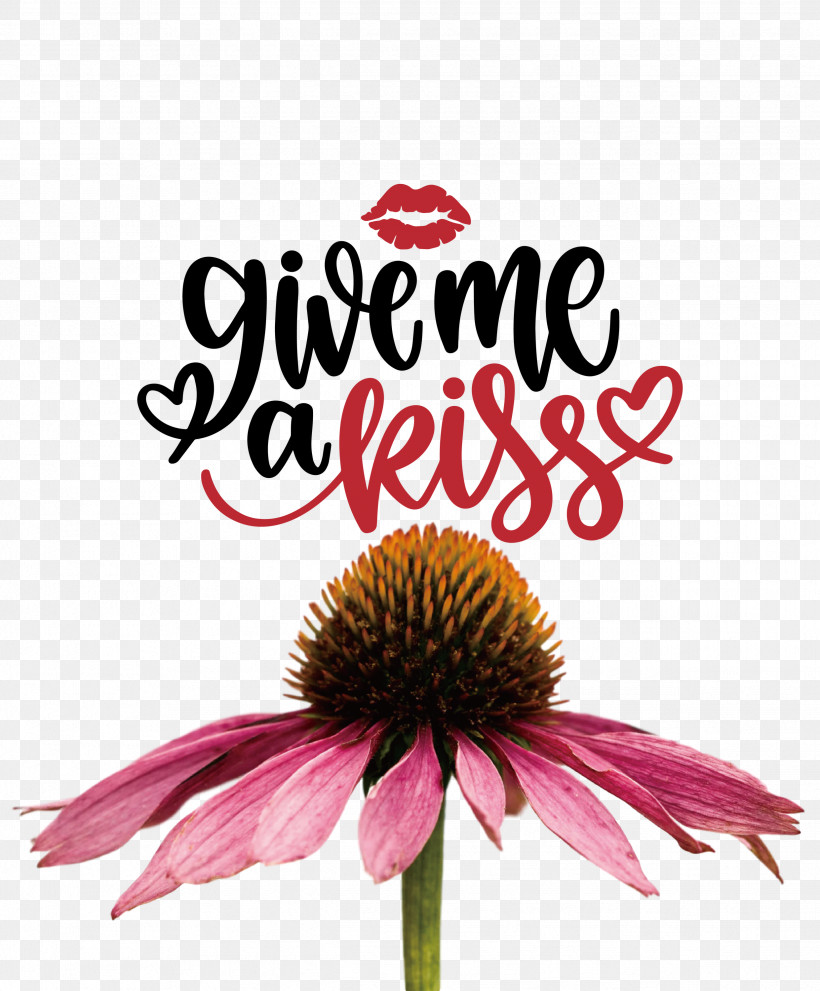 Give Me A Kiss Valentines Day Love, PNG, 2481x3000px, Valentines Day, Biology, Coneflower, Cut Flowers, Flower Download Free