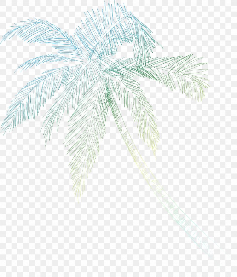 Palm Trees Date Palm Line Leaf Branching, PNG, 3545x4142px, Palm Trees, Arecales, Branch, Branching, Date Palm Download Free