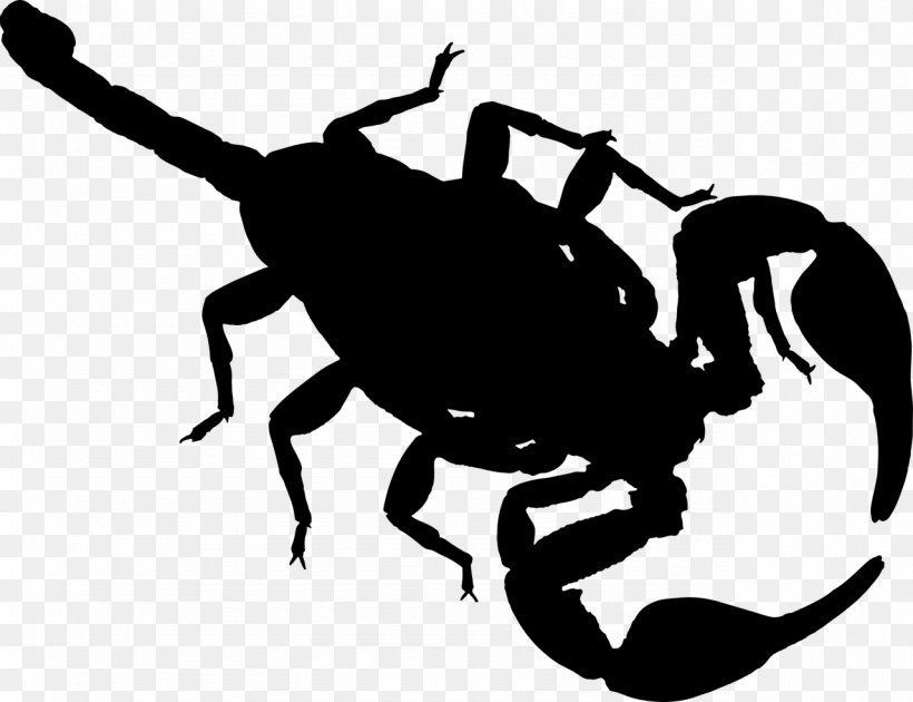 Scorpion Clip Art, PNG, 1280x984px, Scorpion, Artwork, Autocad Dxf, Black And White, Drawing Download Free
