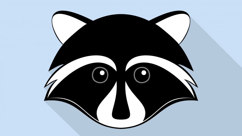 Desktop Wallpaper Raccoon Animal, PNG, 1920x1080px, Raccoon, Animal, Black, Black And White, Carnivoran Download Free