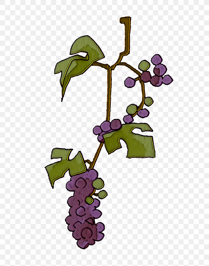 Grape Common Grape Vine Wine Grape Leaves, PNG, 1200x1530px, Grape, Chives, Common Grape Vine, Cuisine, Flower Download Free