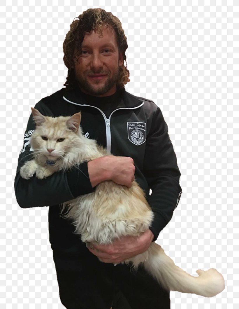 Kenny Omega Cat IWGP Junior Heavyweight Championship Best Of The Super Juniors New Japan Pro-Wrestling, PNG, 754x1059px, Kenny Omega, Best Of The Super Juniors, Cat, Cat Like Mammal, Domestic Short Haired Cat Download Free