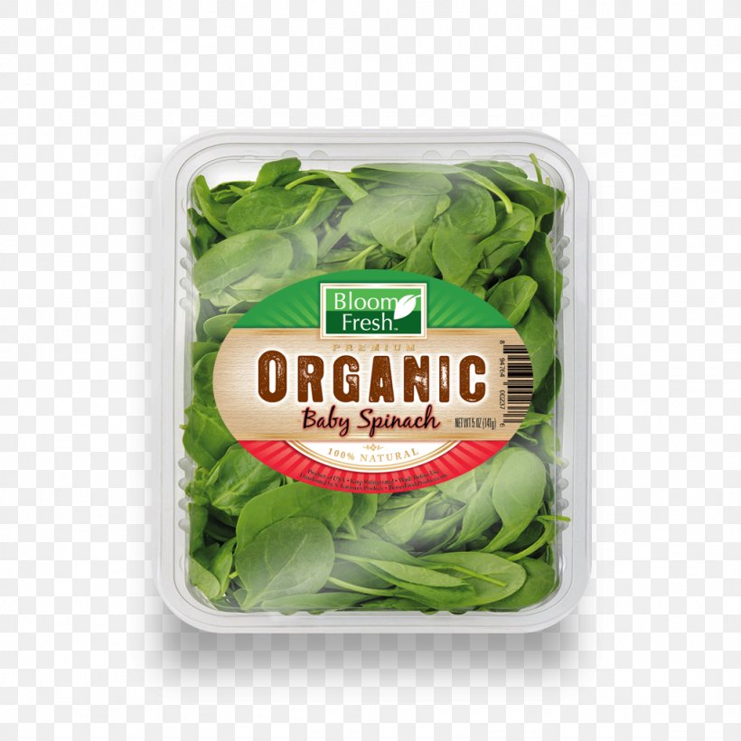Vegetarian Cuisine Organic Food Leaf Vegetable Spinach, PNG, 1024x1024px, Vegetarian Cuisine, Arugula, Flavor, Food, Kale Download Free